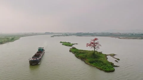River Cargo Vessel Passing Red Silk Cotton Tree Island Stock Footage 345775858