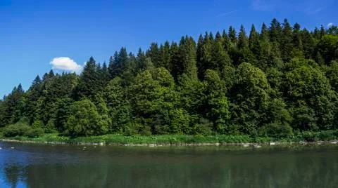 River at the Carpathian forest Stock Photos