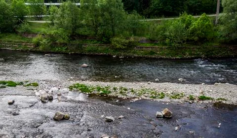 River at the Carpathian mountains Stock Photos