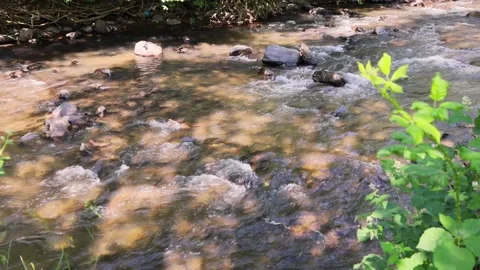 River in Carpathians. Water running through stones in summer day. Stock Footage 210238554