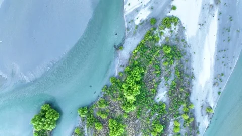 The river with cascade environment of nature Video stock 238455185