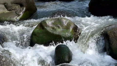 River cascade from the mountain with a fast flow and large rocks Stock Footage 292949620