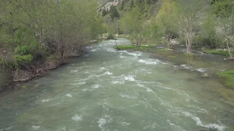 River cascades in the forest Stock Footage 205565475
