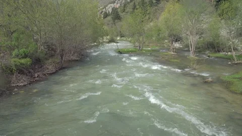 River cascades in the forest Video stock 205565536