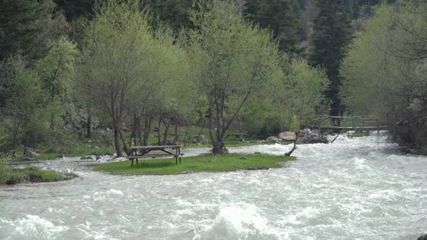 River cascades in the forest Stock Footage 205565639