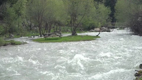 River cascades in the forest Stock Footage 205565879