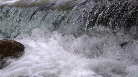 River cascades in the forest Stock Footage 205568469