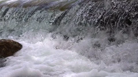 River cascades in the forest Stock Footage 205568523