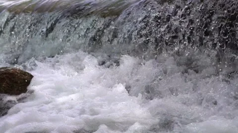 River cascades in the forest Stock Footage 205568524