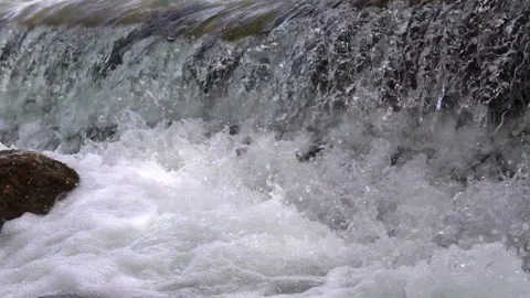 River cascades in the forest Stock Footage 205568717