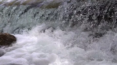 River cascades in the forest Stock Footage 205568761