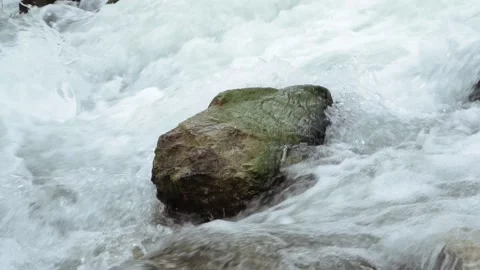 River cascades in the forest Stock Footage 205570804