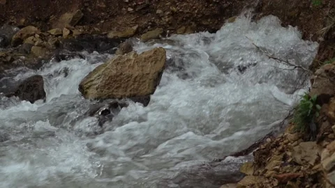 River cascades in the forest Stock Footage 205570973