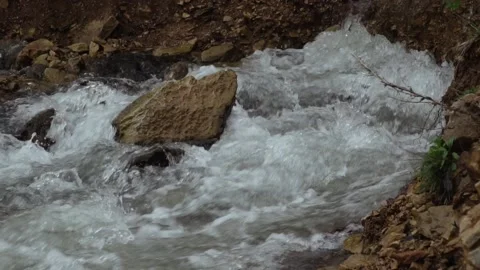 River cascades in the forest Stock Footage 205571135