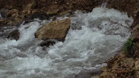 River cascades in the forest Stock Footage 205571288