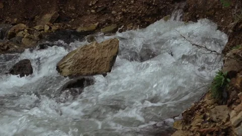 River cascades in the forest Stock Footage 205571319