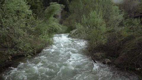 River cascades in the forest Stock Footage 213603061