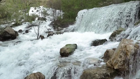 River cascades in the forest Stock Footage 213603140