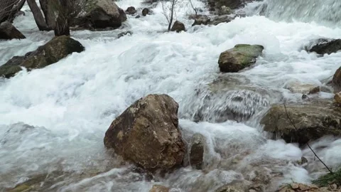 River cascades in the forest Stock Footage 213603999