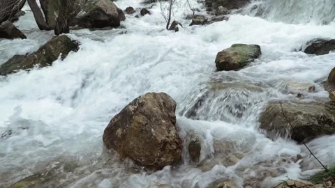 River cascades in the forest Stock Footage 213604010