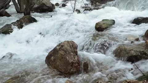 River cascades in the forest Stock Footage 213604206