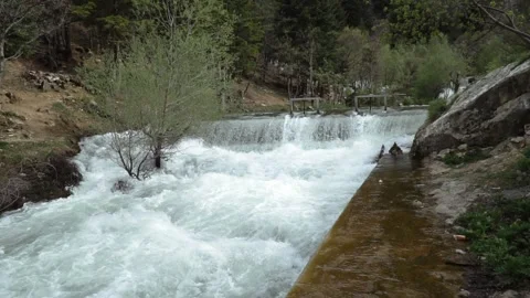River cascades in the forest Stock Footage 213604395