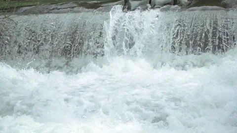 River cascades in the forest Stock Footage 213604423