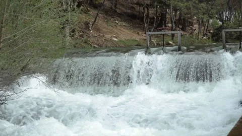 River cascades in the forest Stock Footage 213604475