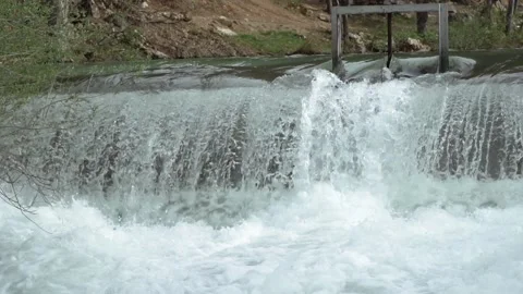 River cascades in the forest Stock Footage 213604667