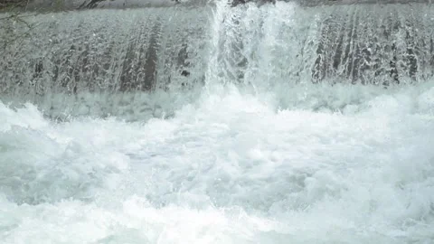 River cascades in the forest Stock Footage 213604890