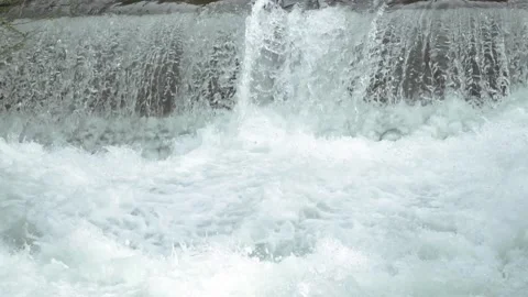 River cascades in the forest Stock Footage 213605122