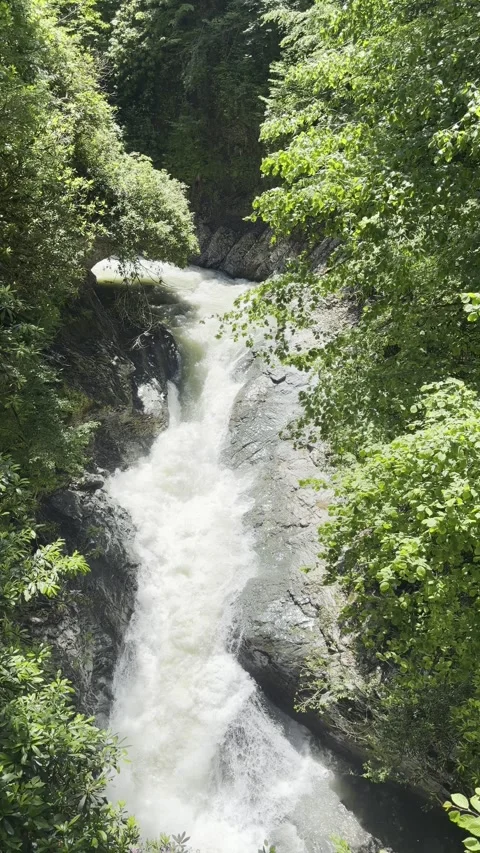 River Cascading Narrow Rocky Gorge Bird's Eye View Dense Forest Adjara Georgia N 스톡 동영상 337549849