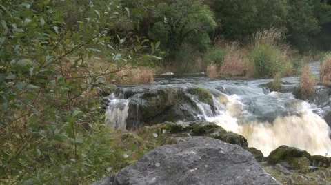 River at Cenarth 動画素材 66534658