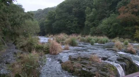 River at Cenarth in Wales 動画素材 66536358
