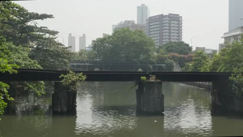 The river in the center of Colombo with an old bridge and lush greenery Stock-Footage 331643082
