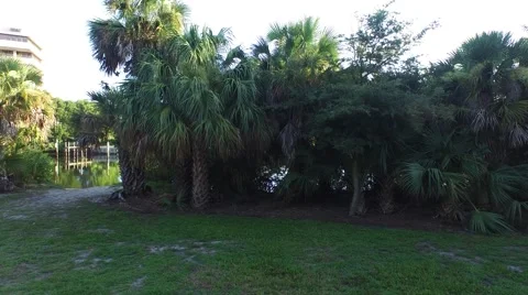 The River Center Jupiter FL 1 Stock Footage 53034073
