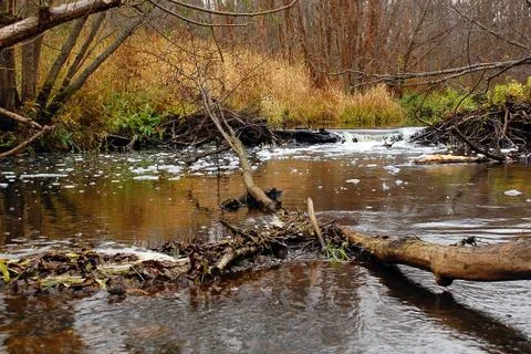 River in central russia in the fall Stock Photos