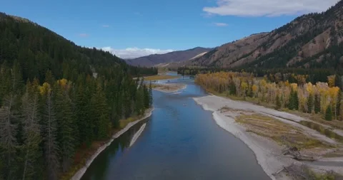 River Channel Beside Forest and Gravel Bars Wyoming Stock-Footage 333416699