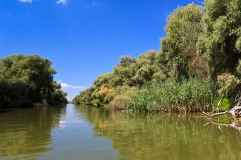 River channel in the danube delta Stock Photos