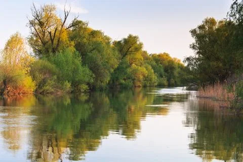 River channel in the danube delta Stock Photos