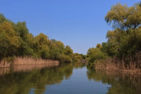 River channel Stock Photos
