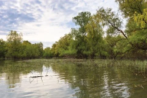 River channel Stock Photos