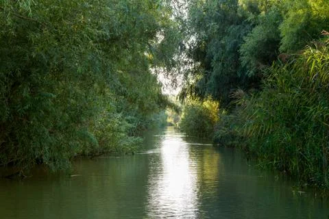 The river channel Stock Photos