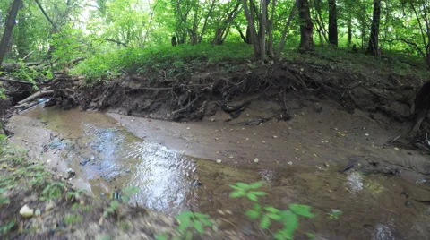 River in city park Vídeos de archivo 62589587