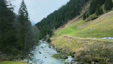 A river with clean water flowing through the alpine mountains Stock Footage 238474696