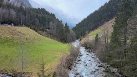 A river with clean water flowing through the alpine mountains Stock Footage 238476875