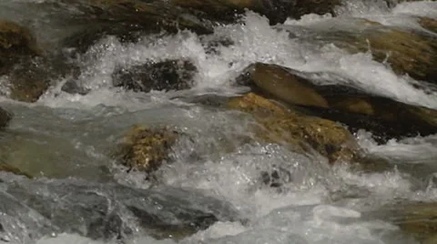 River clean water slow motion Video stock 37268688