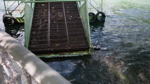 River cleaning machine with a conveyor belt system collecting floating waste Stock Footage 339467482