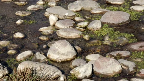 River, clear water and rocks. The beginning of spring Stock Footage 149608517