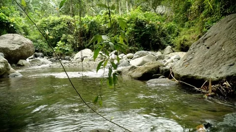 A river with clear water flow Video stock 279592199